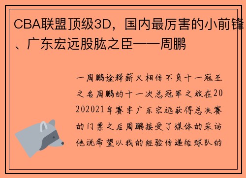 CBA联盟顶级3D，国内最厉害的小前锋、广东宏远股肱之臣——周鹏